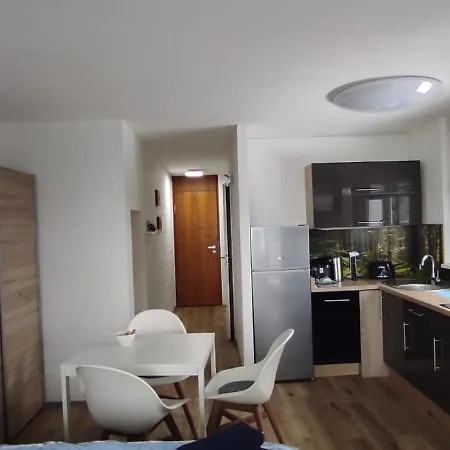 In Mit Grossem Balkon Sankt Englmar